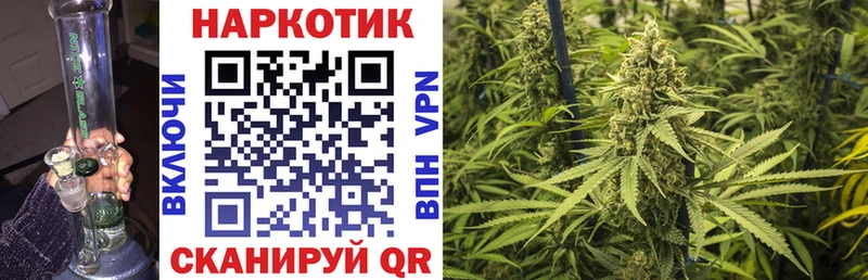 МЕФ Ачхой-Мартан